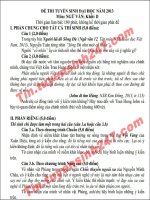 Hướng dẫn giải đề thi đại học môn văn khối D năm 2013