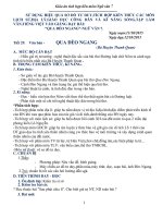 giáo án tích hợp liên môn sử dụng hiệu quả sơ đồ tư duy tích hợp kiến thức các môn lịch sử địa lý giáo dục công dân và kỹ năng sống tập làm văn tiếng việt vào giảng dạy bài quan đèo ngang