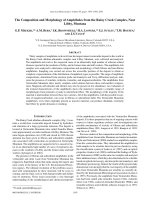 The composition and morphology of amphiboles from the rainy creek complex, near libby, montana