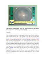 Bộ đầu dò PIR, do than nhiet ban dem