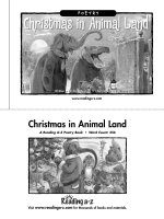 Sách tiếng Anh cho trẻ em Book 13 christmas in animal land 