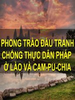 Phong trào đấu tranh chống thực dân pháp ở lào và campuchia