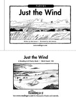 Sách tiếng Anh cho trẻ em Book 17 just the wind 