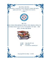 Phân tích tình hình sử dụng vốn trong công ty cổ phần đào tạo và tư vấn quốc tế việt – thủ đức tp hồ chí minh