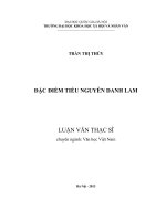 Đặc điểm tiểu thuyết nguyễn danh lam