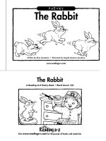 Sách tiếng Anh cho trẻ em Book 35 the rabbit 