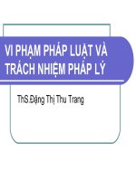 bài giảng vi phậm pháp luật và trách nhiệm pháp lí