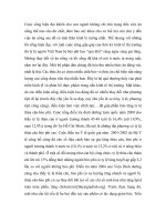 tiểu luận cây rau mèo