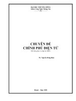 Chuyên Đề Chính Phủ Điện Tử – TS. Nguyễn Đăng Hậu