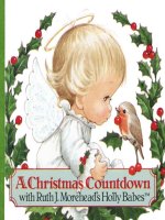 Sách tiếng Anh cho trẻ em A christmas countdown 