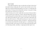 ung thư vú và cách điều trị ung thư vú