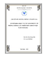 CƠ SỞ KHOA HỌC VÀ CÁC GIẢI PHÁP Y TẾ PHÒNG CHỐNG LÂY NHIỄM HIV/AIDS Ở VIỆT NAM NĂM 2012
