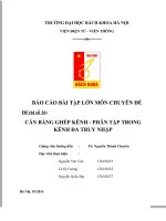 Cân bằng ghép kênh phân tập trong kênh đa truy nhập