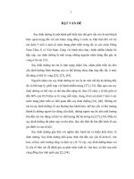 Nghiên cứu tình hình suy dinh dưỡng của trẻ dưới 5 tuổi ở xã ea tiêu, huyện cư kuin, tỉnh đăk lăk năm 2010