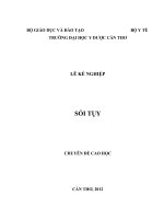 CHUYÊN ĐỀ SỎI TỤY