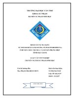 khảo sát sự đa dạng về thành phần loài dương xỉ (polypodiophyta) ở huyện châu thành a và huyện phụng hiệp tỉnh hậu giang 