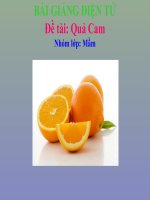 Bài giảng điện tử đề tài Quả cam