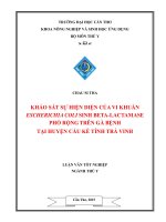 Khảo sát sự hiện diện của vi khuẩn escheria coli beta lactammase phổ rộng trên gà xuất thịt ở nông hộ tại một số huyện tỉnh trà vinh 
