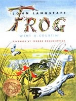 Sách tiếng Anh cho trẻ em Frog went a courtin 