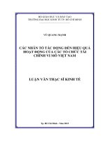 Các nhân tố tác động đến hiệu quả hoạt động của các tổ chức tài chính vi mô việt nam 