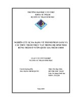 nghiên cứu sự đa dạng về thành phần loài và cấu trúc thảm thực vật trong hệ sinh thái rừng tràm ở vƣờn quốc gia tràm chim 