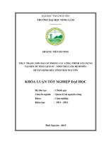 Thực trạng mối hại gỗ trong các công trình xây dựng tại khu di tích lịch sử  sinh thái ATK Định Hóa huyện Định Hóa tỉnh Thái Nguyên