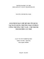 giải pháp hạn chế rủi ro tín dụng tại ngân hàng thương mại cổ phần công thương việt nam – chi nhánh thành phố cần thơ 