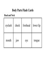 Sách tiếng Anh cho trẻ em Body part flash cards 