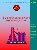 Đại Cương Về Công Nghệ Lò Luyện Gang - Tô Xuân Thanh