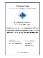 tinh sạch endoglucanase từ dịch nuôi cấy vi khuẩn achromobacter xylosoxidans bm13 bằng phương pháp sắc ký trao đổi ion âm 