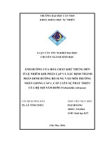 ảnh hưởng của hoá chất khử trùng đến tỉ lệ nhiễm khi phân lập và xác định thành phần dinh dưỡng bổ sung vào môi trường nhân giống cấp 1, cấp 2 lên sự phát triển của hệ sợi nấm rơm (volvariella volvacea) 