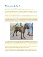 Tả con chó vện lớp 4 