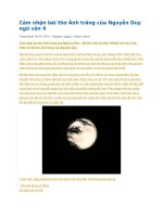 Cảm nhận bài thơ ánh trăng của nguyễn duy ngữ văn 9 