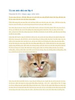 Tả con mèo nhà em lớp 4 