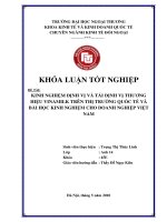 Kinh nghiệm định vị và tái định vị thương hiệu vinamilk trên thị trường quốc tế và bài học kinh nghiệm cho Việt Nam