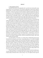 Sự tham gia của việt nam vào di chuyển lao động nội khối ASEAN tt 