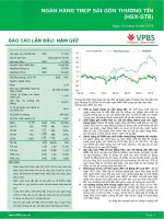 VNINDEX NGÂN HÀNG TMCP SÀI GÒN THƯƠNG TÍN (HSX-STB)