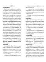 Tóm tắt luận án Đầu tư trực tiếp của các doanh nghiệp Việt Nam vào Cộng Hòa Dân Chủ Nhân Dân Lào trong điều kiện hội nhập quốc tế