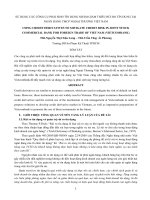 SỬ DỤNG CÁC CÔNG CỤ PHÁI SINH TÍN DỤNG NHẰM GIẢM THIỂU RỦI RO TÍN DỤNG TẠI NGÂN HÀNG TMCP NGOẠI THƯƠNG VIỆT NAM