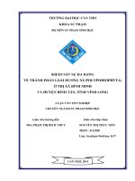 khảo sát sự đa dạng về thành phần loài dương xỉ (polypodiophyta) ở thị xã bình minh và huyện bình tân, tỉnh vĩnh long 