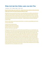 Phân tích bài thơ chiều xuân của anh thơ 