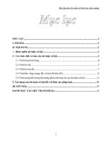 Bài tập học kỳ môn xã hội học đại cương