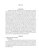 Tìm hiểu pháp luật về đại lý làm thủ tục hải quan