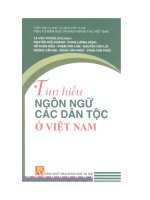 Tìm hiểu ngôn ngữ các dân tộc ở việt nam