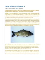 Thuyết minh về con cá chép lớp 10 