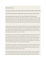 Bình yên hạ long 