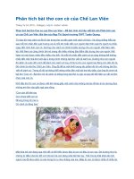 Phân tích bài thơ con cò của chế lan viên 