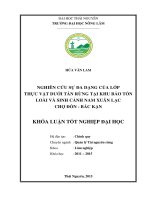 Nghiên cứu sự đa dạng của lớp thực vật dưới tán rừng tại Khu bảo tồn loài và sinh cảnh Nam Xuân Lạc - Chợ Đồn - Bắc Kạn