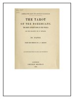 Hướng dẫn bói bài Tarot  The tarot of the bohemians 