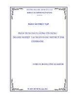 Phân tích chất lượng tín dụng doanh nghiệp tại NHTMCP XNK EXIMBANK